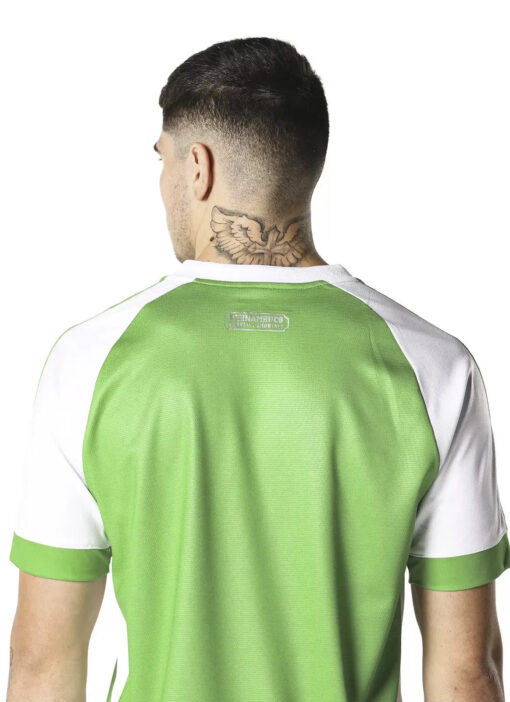 Camisa Goleiro 3 Santa Cruz 2024 Verde Masculino - Image 2